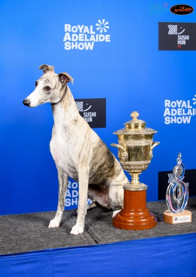 Royal Adelaide Show, Sept 23 