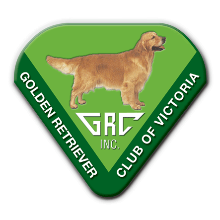 Golden Retriever National - Vic, Oct 2023