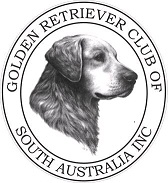 Golden Retriever Club of SA Champ Shows Aug 24