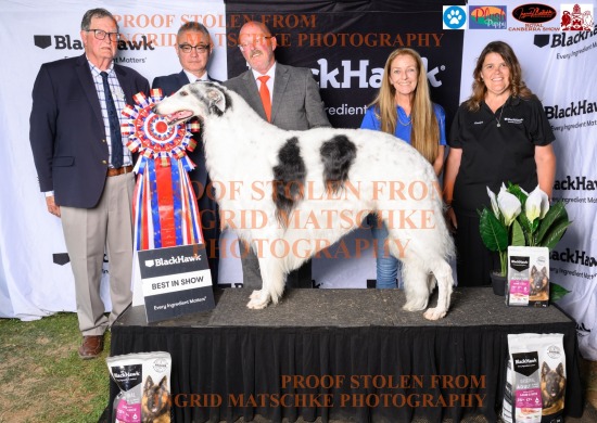 2025 Royal Canberra Show (Podium)