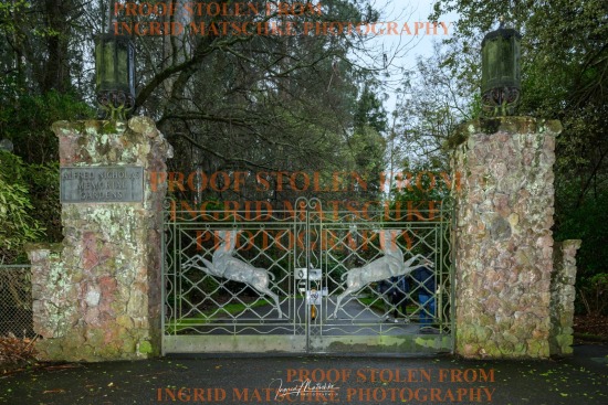 Individual Shoot, Sherbrooke VIC - Sep 25