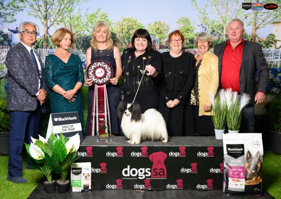 Dogs SA DOTY/POTY/NOTY, Dec 25